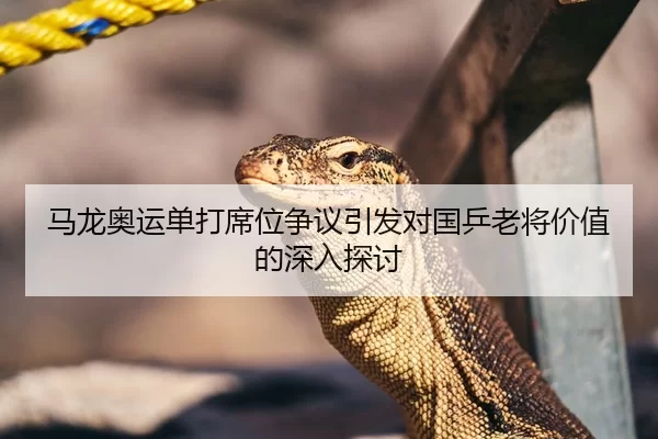 马龙奥运单打席位争议引发对国乒老将价值的深入探讨