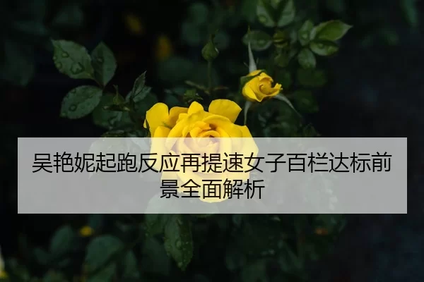 吴艳妮起跑反应再提速女子百栏达标前景全面解析
